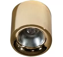 Spot fix LED AZzardo Mane, 30W, auriu