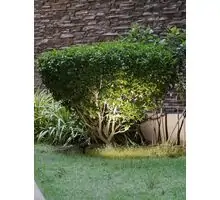 Stalp tip tarus Nova Luce Kimiko, 1xGU10, negru, IP54