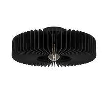 Plafoniera Eglo Palombaia, 1xE27, negru