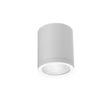 Spot pentru exterior LED AZzardo Conyon, IP54, 15W, alb, on/off CCT