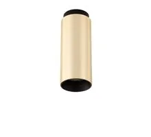 Spot fix Nova Luce Robin, 1xGU10, D65 mm, auriu