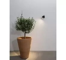 Aplica LED Nova Luce Fend, 10W, negru, IP65