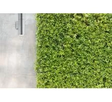 Aplica exterior, Ideal Lux Gun, 2xGU10, 65x110x210mm, aluminiu, IP44, 033013