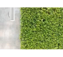 Aplica exterior, Ideal Lux Gun, 2xGU10, 65x110x210mm, alb, IP44, 100388