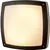 Plafoniera LED AZzardo Fano S SMART, 24W, RGBW CCT 2600-6000K, 300x300x90 mm, negru, dimabil, telecomanda, IP54