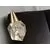 Pendul LED Schuller Aquaria, 4W, auriu, transparent