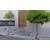 Aplica LED AZzardo Afi, 2W, 3000K, negru, IP54