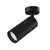 Spot fix Maytoni Focus, 1xGU10, crom-negru