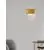 Aplica cristal Nova Luce Magnolia, 1xE14, tub, auriu