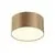 Plafoniera LED Maytoni Zon, 12W, 3000K, 60x120 mm, auriu