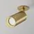 Spot mobil incastrat Maytoni Focus, 1xGU10, auriu mat, rotund, IP20