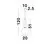 Pendul Nova Luce Grus, 1xE27 max. 12W, D20 cm, Hmax 120 cm, alb opal, negru