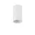Spot fix Nova Luce Mnia, 1xGU10, D55 mm, alb