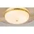 Pendul LED Maytoni Levitation, 20W, 3000K, 500 lumeni, D500, Hmax 3370 mm, alama