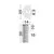 Aplica LED Nova Luce Nol, 11W, 3000K, 715 lumeni, H300 mm, alama