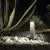 Stalp mic LED, Ideal Lux Titano, 9W, 3000K, 180x490mm, granit, IP55, 246994