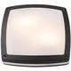 Plafoniera LED AZzardo Fano S SMART, 24W, RGBW CCT, patrat, gri inchis, dimabil, telecomanda, IP54