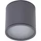 Spot fix aplicat AZzardo Alix, 1xGU10, gri, IP65