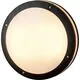 Plafoniera LED AZzardo Fano R SMART, 24W, RGBW CCT, rotund, negru, dimabil, telecomanda, IP54