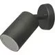 Aplica tip spot AZzardo Rolf, 1xGU10, negru, IP44
