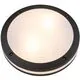 Plafoniera LED AZzardo Fano R SMART, 24W, RGBW CCT, rotund, gri inchis, dimabil, telecomanda, IP54