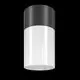 Plafoniera Maytoni Willis, 1xE27, negru