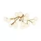 Plafoniera Maytoni Dallas, 20xG9, alb mat-auriu