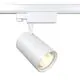 Proiector LED pe sina clasica Maytoni Vuoro, Trinity, 20W, 4000K, alb