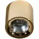 Spot fix LED AZzardo Mane, 20W, auriu