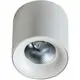 Spot fix LED AZzardo Mane, 10W, 4000K, alb