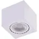Spot fix AZzardo Eco Alex, 1xGU10 tip ES111, alb