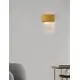 Aplica cristal Nova Luce Magnolia, 1xE14, tub, auriu