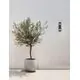 Aplica Nova Luce Regina, 2xE27, antracit, IP65