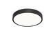 Plafoniera LED Ideal Lux Ray, 43W, negru, on/off CCT