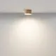 Plafoniera LED Maytoni Zon, 12W, 3000K, 60x120 mm, auriu