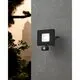 Aplica LED Eglo Faedo 3, 31W, 5000K, negru, senzor de miscare, IP44