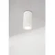 Spot fix Nova Luce Esca, 1xGU10, D60 mm, H115 mm, alb