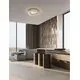 Plafoniera LED Nova Luce Arietta, 40W, 3000K, 2800 lumeni, D530 mm, H140 mm, nichel, dimabil Triac