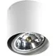 Spot mobil aplicat AZzardo Alix, 1xG53 tip QR111, alb, rotund, IP20
