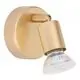 Aplica Nova Luce Lup, 1xGU10, auriu satinat