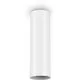 Plafoniera tip spot, aplicat, Ideal Lux Look, 1xGU10, 60x200mm, alb